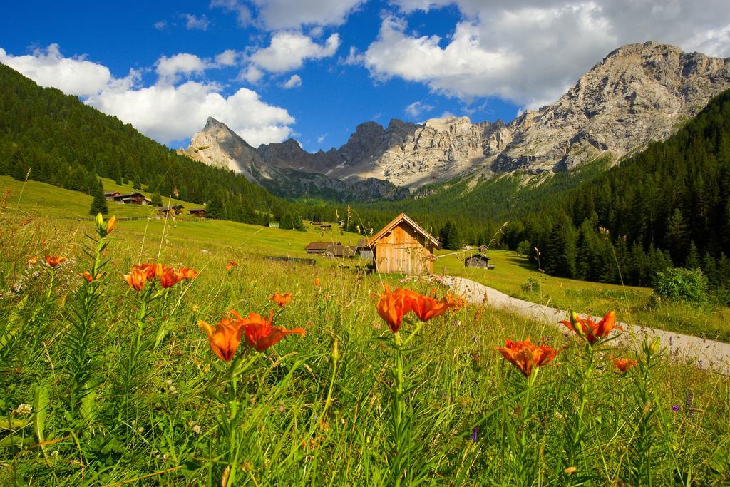 Relais San Giusto Hotel Campitello di Fassa Bagian luar foto